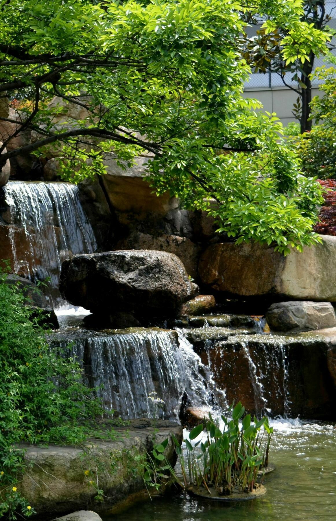 Millennium Hotel Wuxi Wuxi  Dış mekan fotoğraf